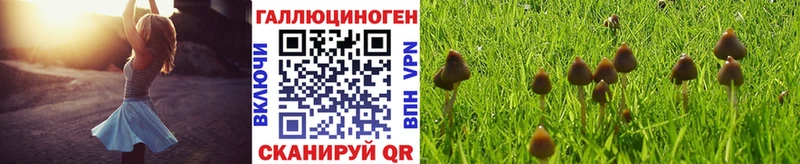 Псилоцибиновые грибы Cubensis  ОМГ ОМГ ссылка  Камызяк  наркота 